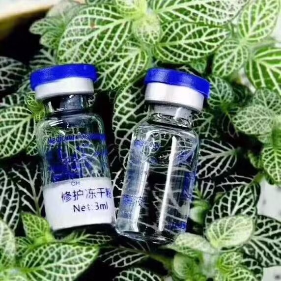 80,000 وحدة من مسحوق أوليجوببت - مراجعة Whitening Powder Activated وسعره