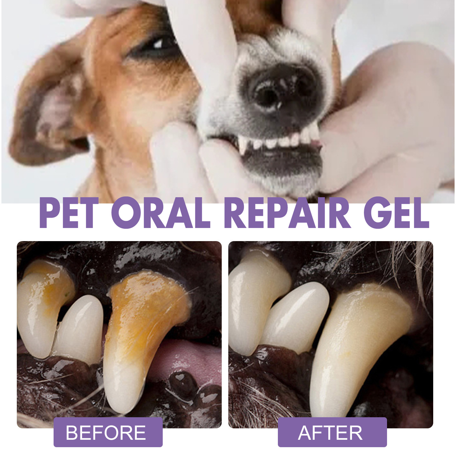الحيوانات الأليفة الفم إصلاح ه - مراجعة Teeth Whitening Q&M وسعره
